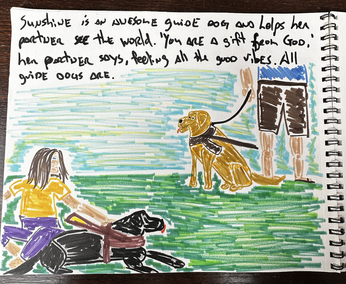 Sunshine and her great friend sit near another guide dog all being well behaved and attentive. Some dogs are brown and some are black. 